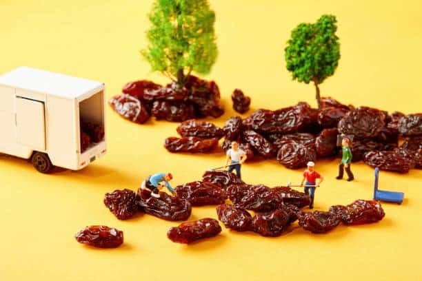 créer diorama parfait